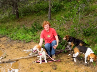 Me and the beagles.